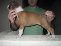 /album/satre-x-shena1/f%c3%aamea-3-%282%29-jpg1/